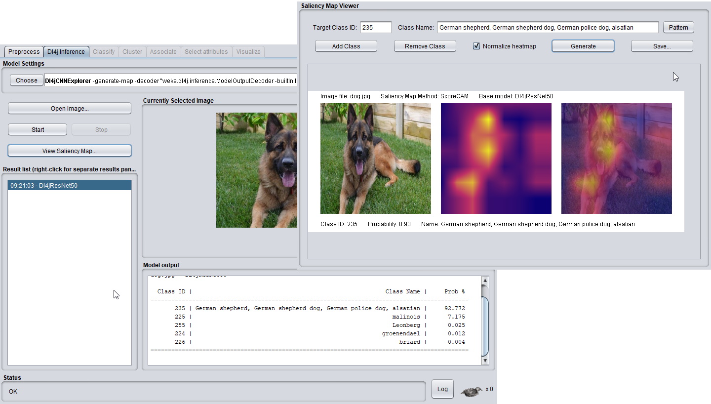 Dl4jCNNExplorer and saliency map generation.